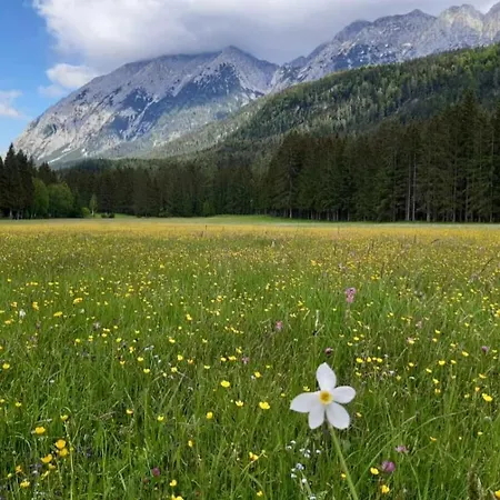 Apartmán Appartementhaus Theresia Bad Mitterndorf