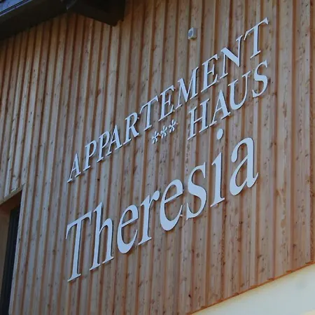 公寓 Appartementhaus Theresia 巴德米滕多夫