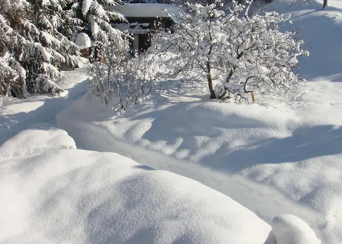 Appartementhaus Theresia 바트 미테른도르프