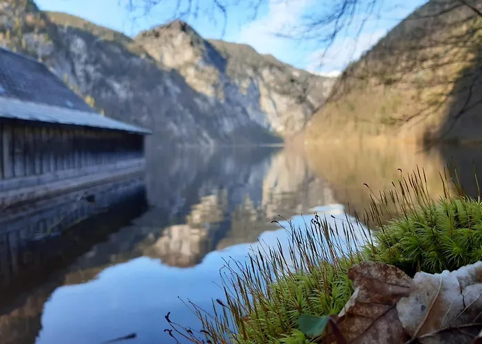 Appartementhaus Theresia Appartement