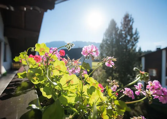 Appartementhaus Theresia Apartman